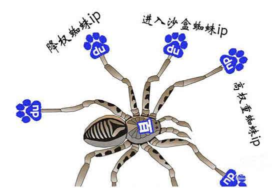 天企网络：搜索引擎蜘蛛是怎么工作的？